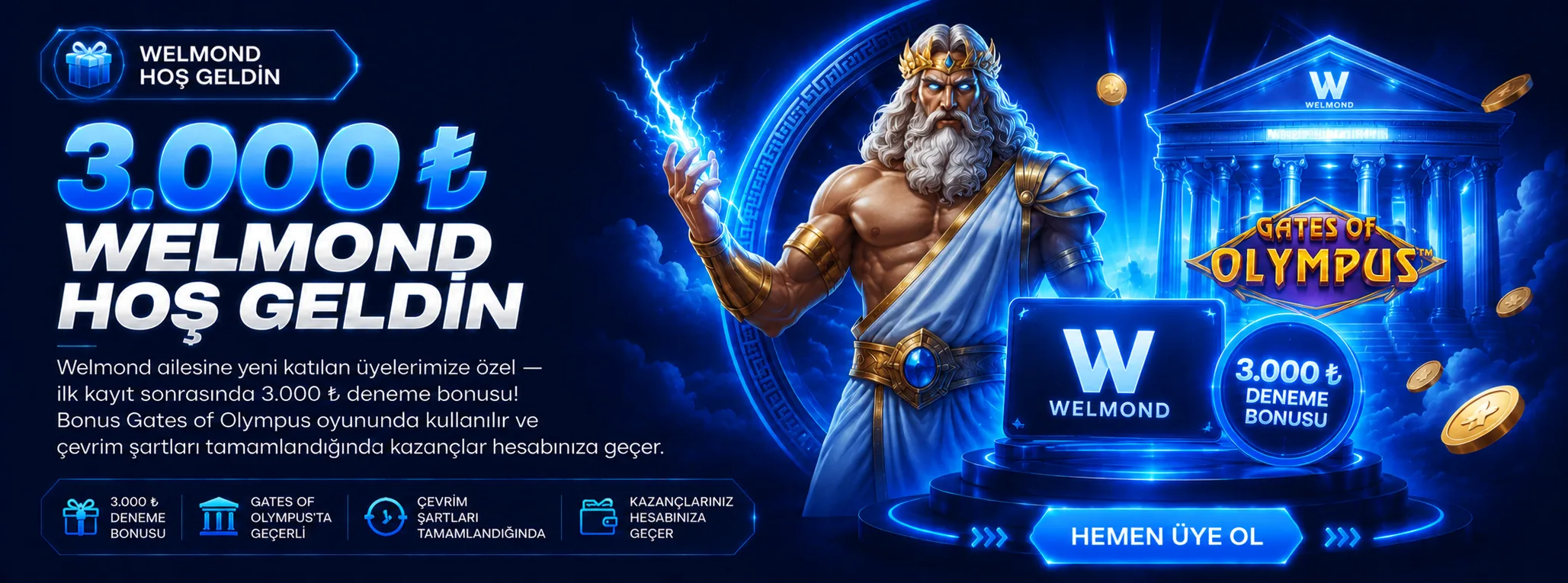 Promo Banner